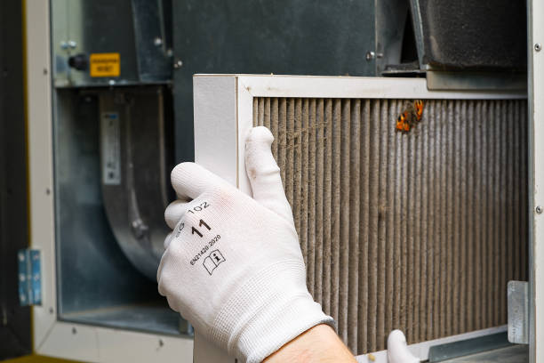 Best Affordable Air Duct Cleaning  in Carolina Beach, NC